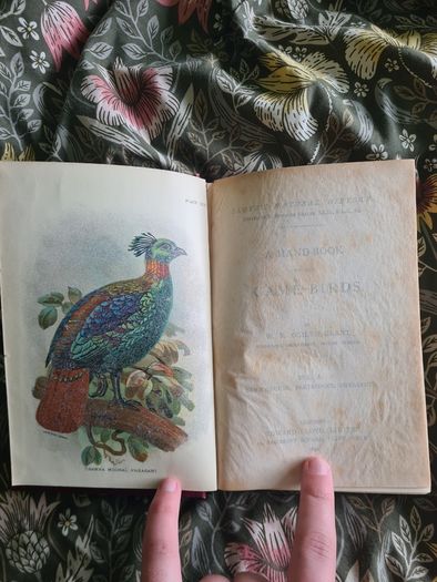 Scarce Lloyd's Natural History - 1896/7, 2 Vol. Set. Free Postage.