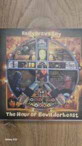 Badly Drawn Boy - The Hour Of Bewilderbeast.