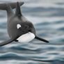 Schleich Baby Orca Animal Figure Image 2