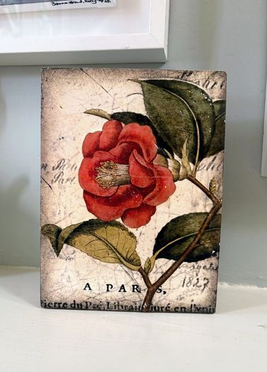 Sid Dickens memory block - Red Camellia T-404