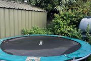 free trampoline 10ft