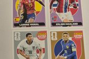 Panini FIFA World Cup Football Stickers