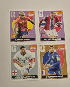 Panini FIFA World Cup Football Stickers