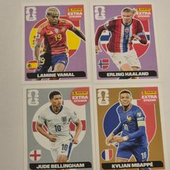 Panini FIFA World Cup Football Stickers