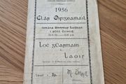 1956 wexford v laois leinster hurling