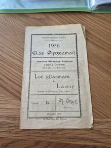 1956 wexford v laois leinster hurling