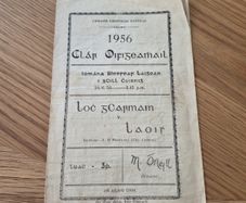 1956 wexford v laois leinster hurling