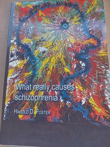 What Really Causes Schizophrenia