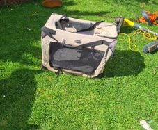 dog carrier