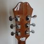 Epiphone DR100 + Carry case Image 6