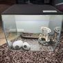 Fish tank Fluval Image 6