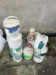 free paint