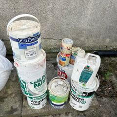 free paint