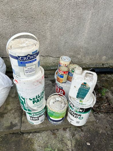 free paint