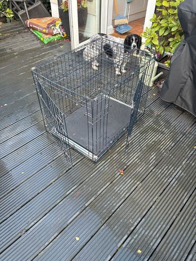 dog cage