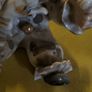A sitting clown with dog ornament Image 2