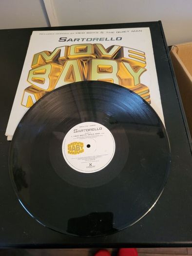 sartorello move baby move 12 " vinyl
