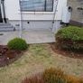 Rebounder Image 3