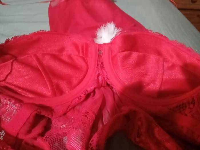 Censored Santa lingerie set