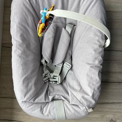Newborn seat