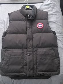 Canada goose
