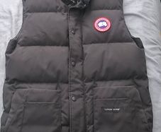 Canada goose