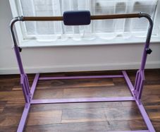 Kids Gymnastics Training Bar + Mat (Can Deliver)
