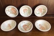 Vintage set of six nature conservation cereal bowls by John Tams