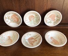 Vintage set of six nature conservation cereal bowls by John Tams