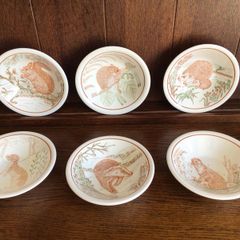 Vintage set of six nature conservation cereal bowls by John Tams