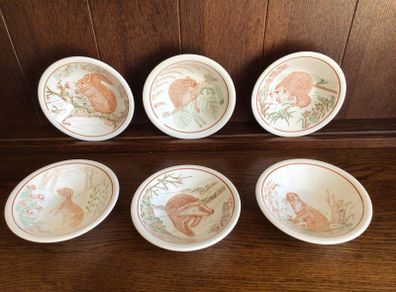 Vintage set of six nature conservation cereal bowls by John Tams