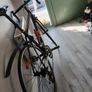 Trek Alpha Image 2