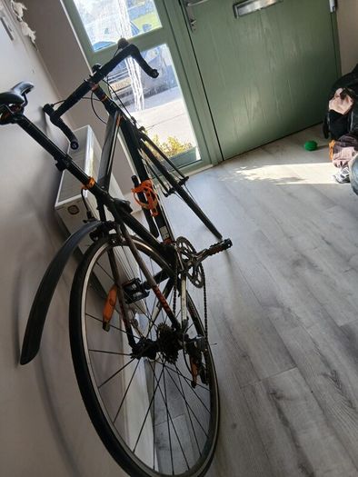 Trek Alpha