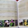 DK/ RHS/ Illustrated Dictionary of Gardening Image 7