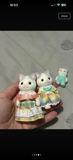 Latte cat Sylvanian families
