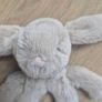 teddy Image 2