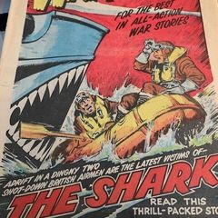 Warlord Comics 255,256,261,263,268- Aug 11th 1979- Nov 10th 1979 DC Thomson- Vintage UK Comics
