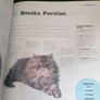 Cats: The Ultimate Cat Lover's Guide Image 6