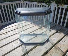 Fish tank