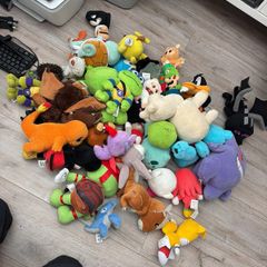 Large selection of teddies.
