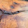 live edge Coffee table Image 5