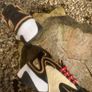 Get Premium Style Nike Zoom 2k Image 3