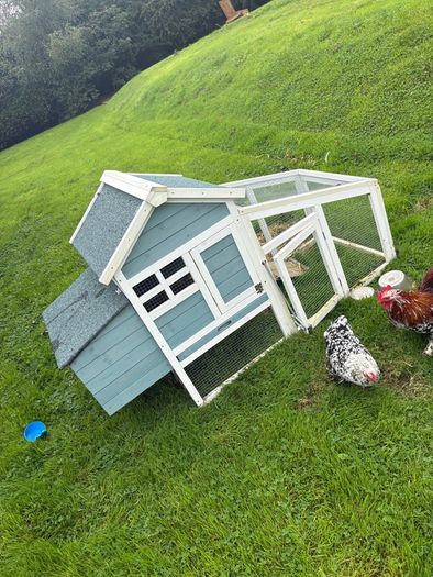 Millefleur Pekin Bantam pair with house