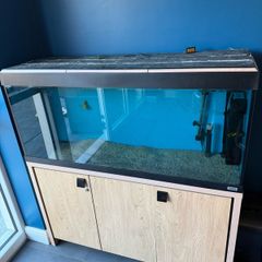 Fluval Roma 240