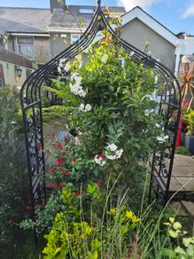 garden furniture