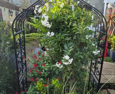 garden furniture