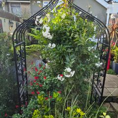 garden furniture