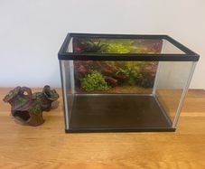 Fish tank & Accessory