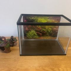 Fish tank & Accessory