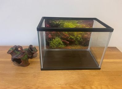 Fish tank & Accessory